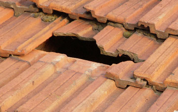 roof repair Llanllugan, Powys