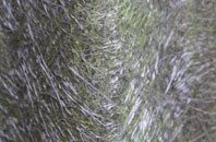 Llanllugan fibreglass roof work